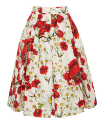 Net-a-Porter - Dolce & Gabbana floral print skirt